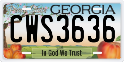 GA license plate CWS3636