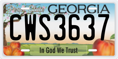 GA license plate CWS3637