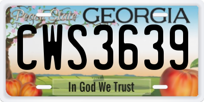 GA license plate CWS3639