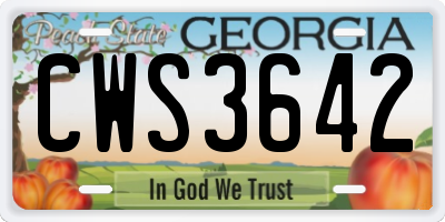 GA license plate CWS3642
