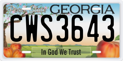 GA license plate CWS3643