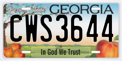 GA license plate CWS3644