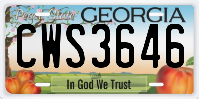GA license plate CWS3646