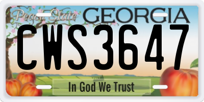 GA license plate CWS3647