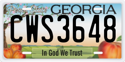GA license plate CWS3648