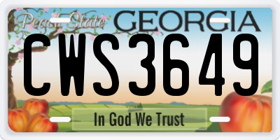 GA license plate CWS3649