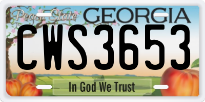 GA license plate CWS3653