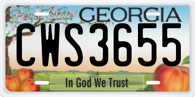 GA license plate CWS3655