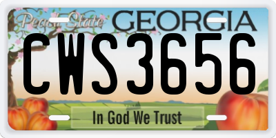GA license plate CWS3656