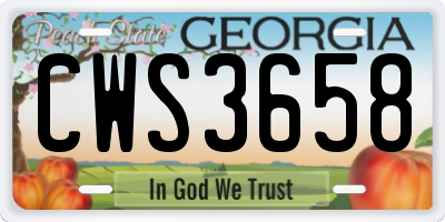 GA license plate CWS3658