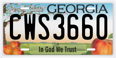 GA license plate CWS3660