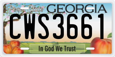 GA license plate CWS3661