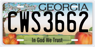 GA license plate CWS3662
