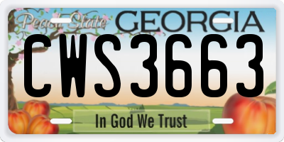 GA license plate CWS3663