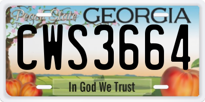 GA license plate CWS3664