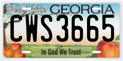GA license plate CWS3665