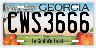 GA license plate CWS3666