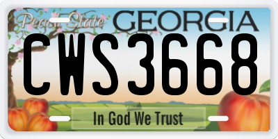 GA license plate CWS3668