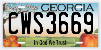 GA license plate CWS3669