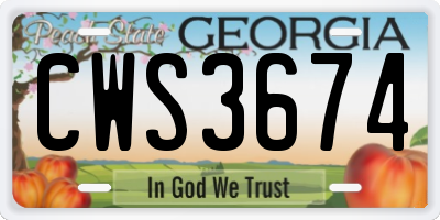 GA license plate CWS3674