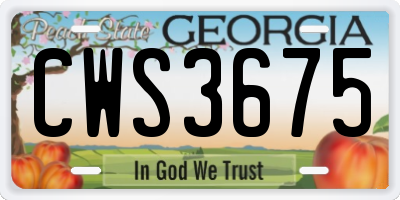 GA license plate CWS3675