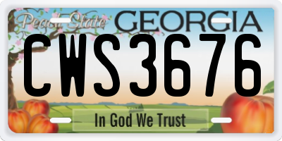 GA license plate CWS3676