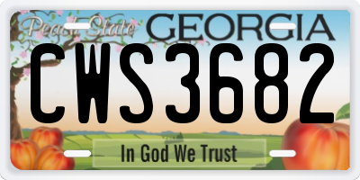 GA license plate CWS3682