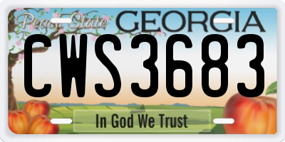 GA license plate CWS3683