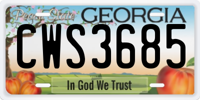 GA license plate CWS3685