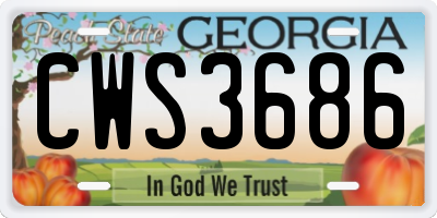 GA license plate CWS3686