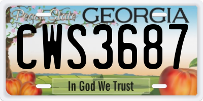 GA license plate CWS3687