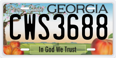 GA license plate CWS3688