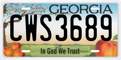 GA license plate CWS3689