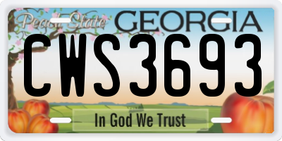 GA license plate CWS3693