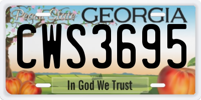 GA license plate CWS3695