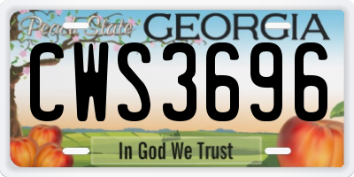 GA license plate CWS3696