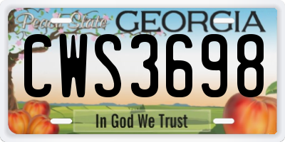 GA license plate CWS3698