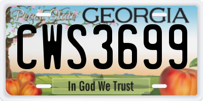 GA license plate CWS3699