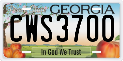 GA license plate CWS3700