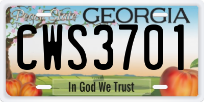 GA license plate CWS3701