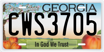 GA license plate CWS3705