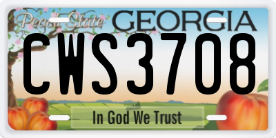 GA license plate CWS3708