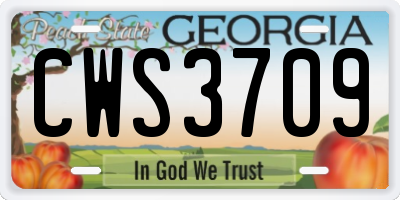GA license plate CWS3709