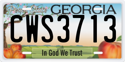 GA license plate CWS3713