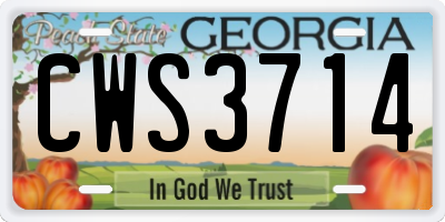 GA license plate CWS3714