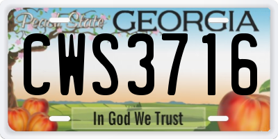 GA license plate CWS3716