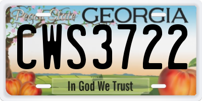 GA license plate CWS3722