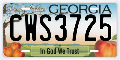 GA license plate CWS3725