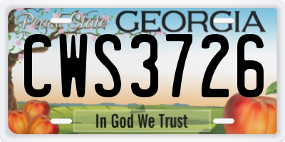 GA license plate CWS3726
