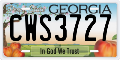 GA license plate CWS3727